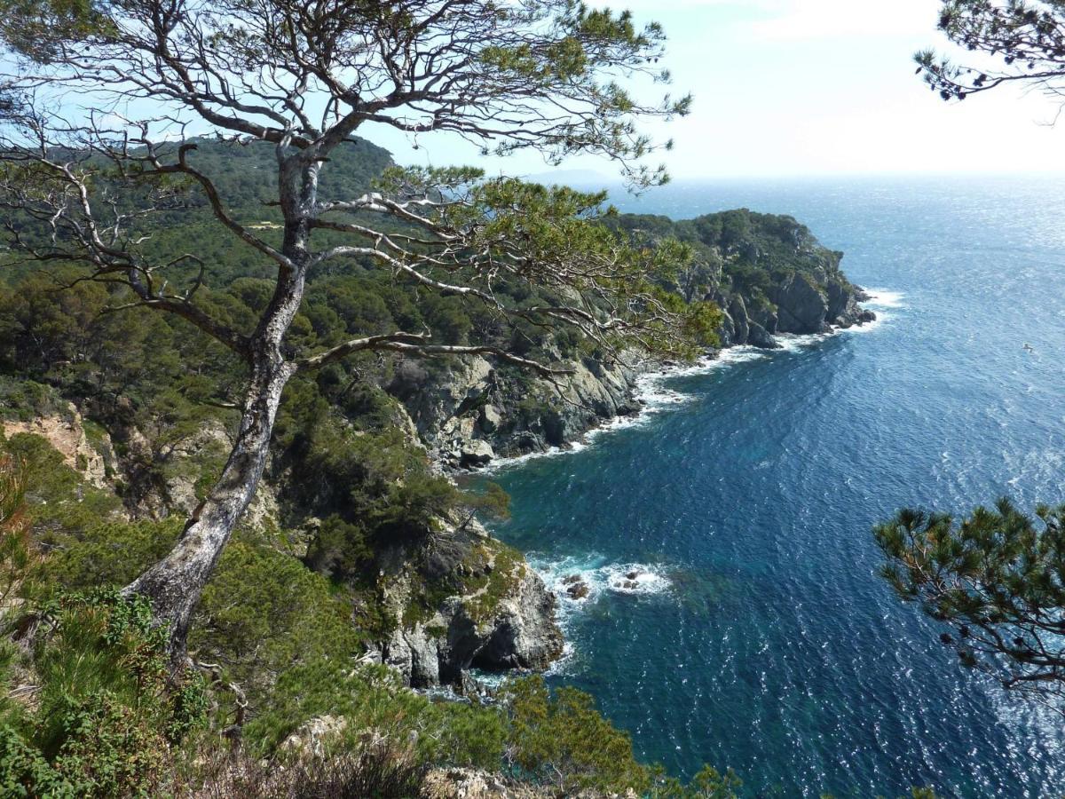 Hotel Le Mediterranee Hyères Eksteriør bilde